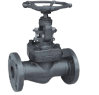 Picture1-removebg-preview