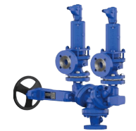 Picture15-removebg-preview