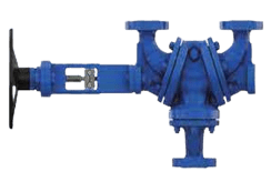 Picture16-removebg-preview