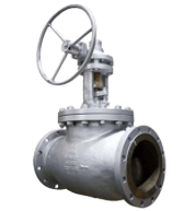 Picture2-removebg-preview