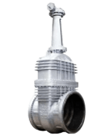 Picture4-removebg-preview